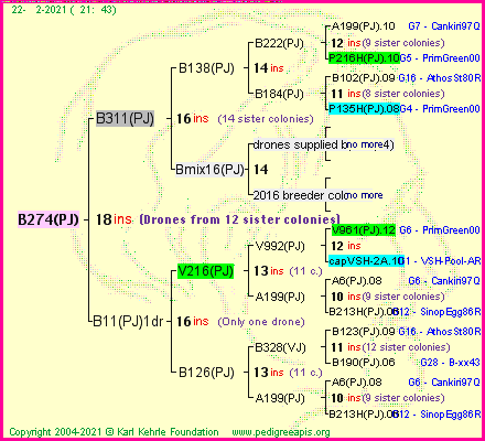 Pedigree of B274(PJ) :
four generations presented
it's temporarily unavailable, sorry!