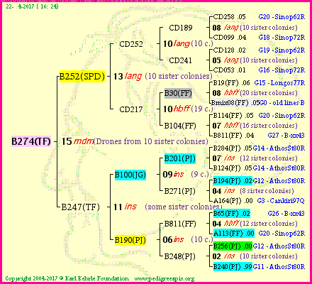 Pedigree of B274(TF) :
four generations presented<br />it's temporarily unavailable, sorry!