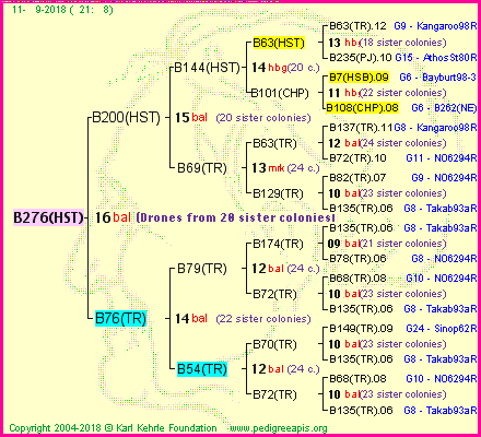 Pedigree of B276(HST) :
four generations presented