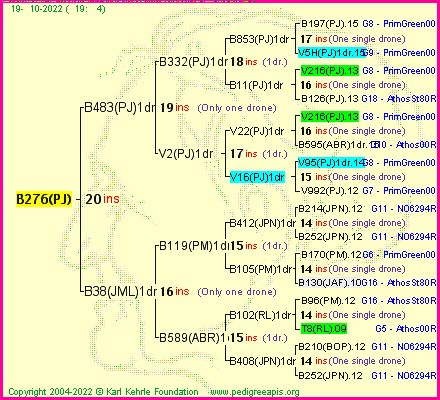 Pedigree of B276(PJ) :
four generations presented
it's temporarily unavailable, sorry!