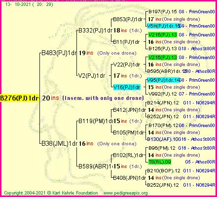 Pedigree of B276(PJ)1dr :
four generations presented
it's temporarily unavailable, sorry!