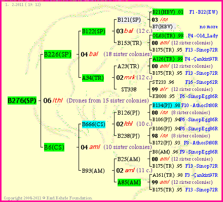 Pedigree of B276(SP) :
four generations presented