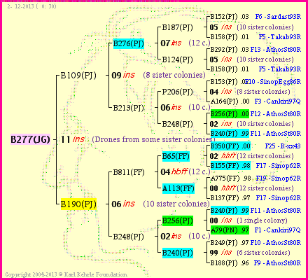 Pedigree of B277(JG) :
four generations presented