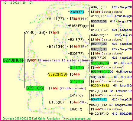 Pedigree of B278(HGS) :
four generations presented
it's temporarily unavailable, sorry!