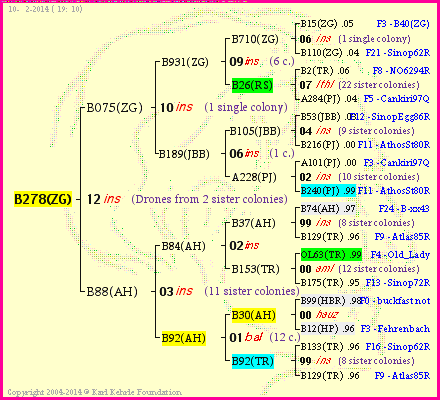 Pedigree of B278(ZG) :
four generations presented