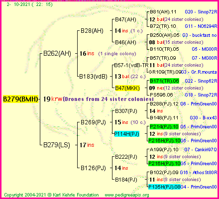 Pedigree of B279(BMH) :
four generations presented
it's temporarily unavailable, sorry!