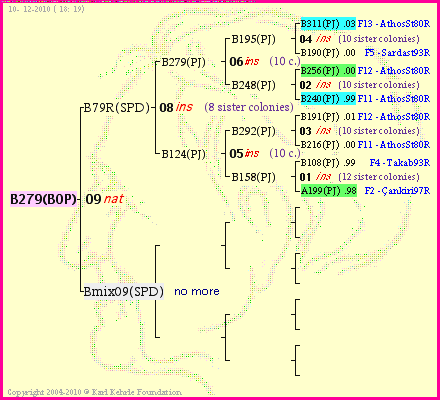 Pedigree of B279(BOP) :
four generations presented