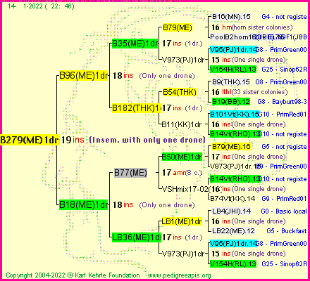 Pedigree of B279(ME)1dr :
four generations presented
it's temporarily unavailable, sorry!