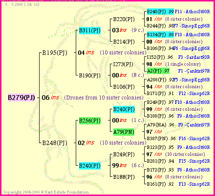 Pedigree of B279(PJ) :
four generations presented