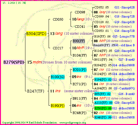 Pedigree of B279(SPD) :
four generations presented