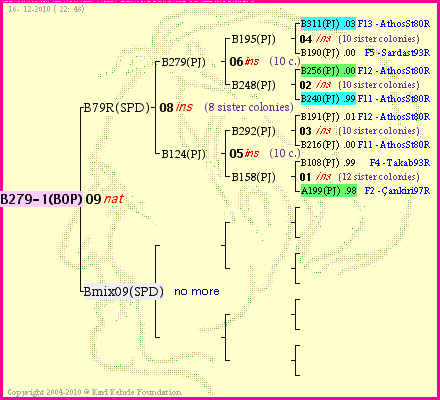 Pedigree of B279-1(BOP) :
four generations presented