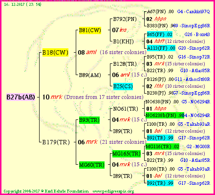 Pedigree of B27b(AB) :
four generations presented<br />it's temporarily unavailable, sorry!