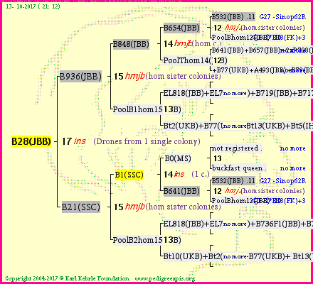 Pedigree of B28(JBB) :
four generations presented