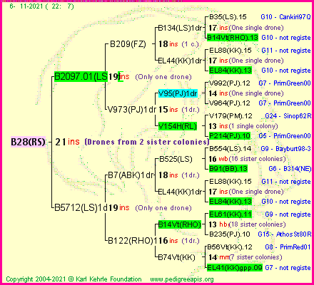 Pedigree of B28(RS) :
four generations presented
it's temporarily unavailable, sorry!