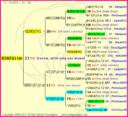 Pedigree of B28(TK)1dr :
four generations presented
it's temporarily unavailable, sorry!