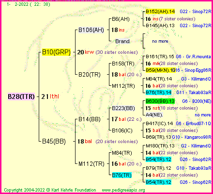 Pedigree of B28(TTR) :
four generations presented
it's temporarily unavailable, sorry!