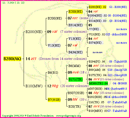 Pedigree of B280(AK) :
four generations presented