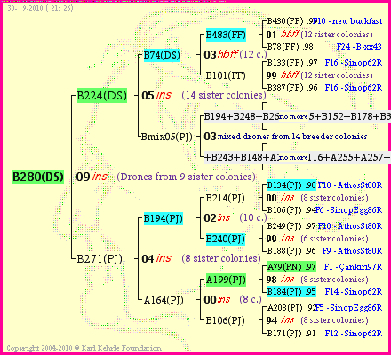 Pedigree of B280(DS) :
four generations presented