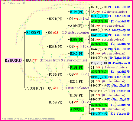 Pedigree of B280(PJ) :
four generations presented