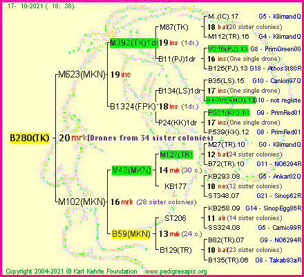 Pedigree of B280(TK) :
four generations presented
it's temporarily unavailable, sorry!