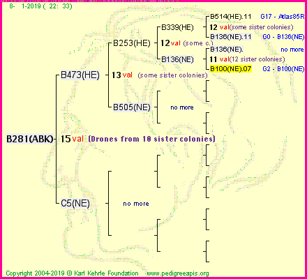 Pedigree of B281(ABK) :
four generations presented<br />it's temporarily unavailable, sorry!