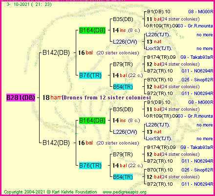 Pedigree of B281(DB) :
four generations presented
it's temporarily unavailable, sorry!