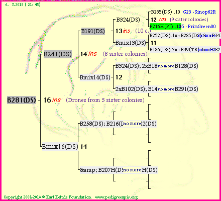 Pedigree of B281(DS) :
four generations presented<br />it's temporarily unavailable, sorry!