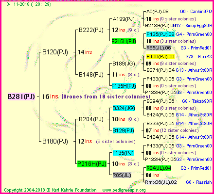 Pedigree of B281(PJ) :
four generations presented<br />it's temporarily unavailable, sorry!