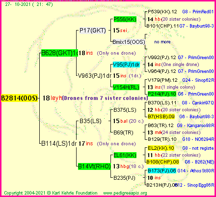 Pedigree of B2814(OOS) :
four generations presented
it's temporarily unavailable, sorry!