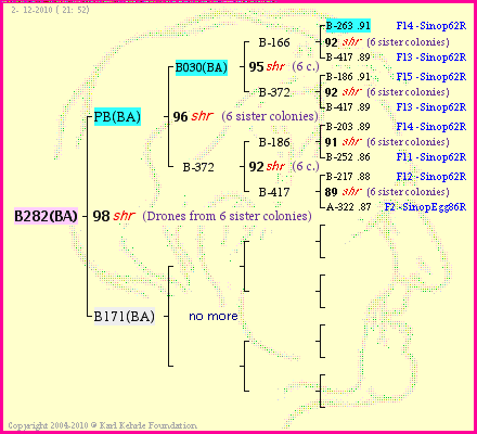 Pedigree of B282(BA) :
four generations presented