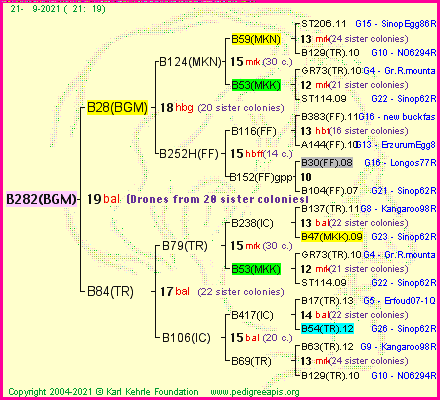 Pedigree of B282(BGM) :
four generations presented
it's temporarily unavailable, sorry!