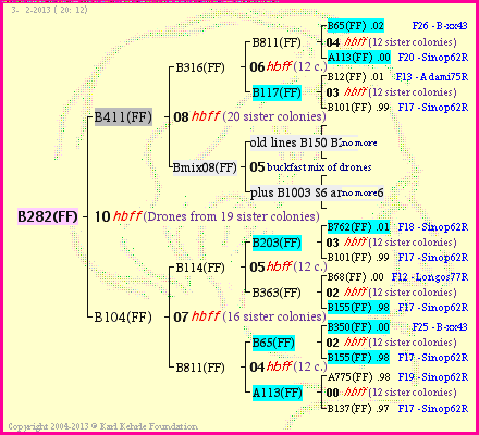 Pedigree of B282(FF) :
four generations presented