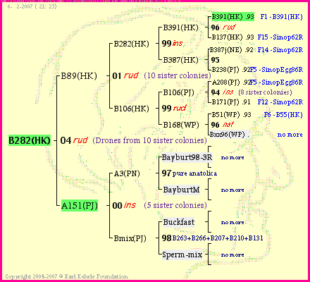 Pedigree of B282(HK) :
four generations presented