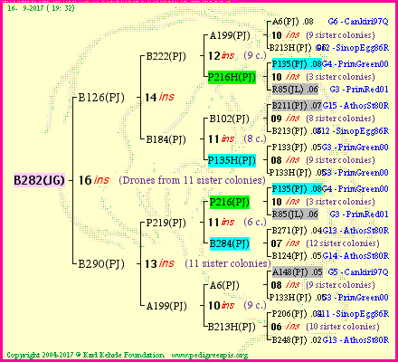 Pedigree of B282(JG) :
four generations presented<br />it's temporarily unavailable, sorry!