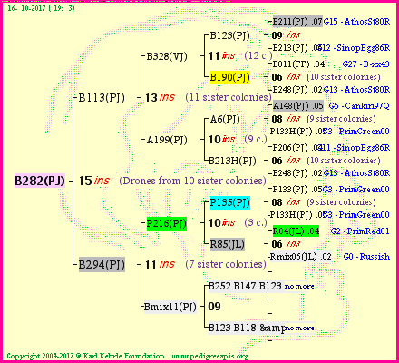 Pedigree of B282(PJ) :
four generations presented<br />it's temporarily unavailable, sorry!