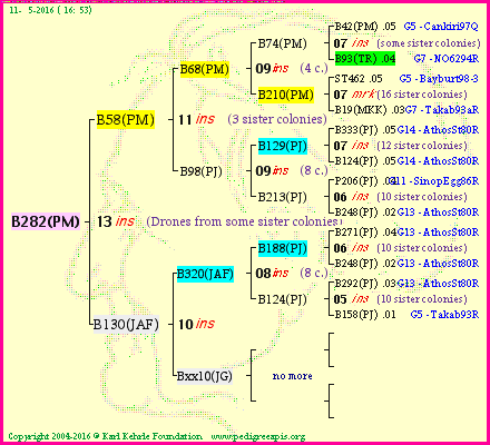 Pedigree of B282(PM) :
four generations presented