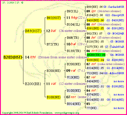 Pedigree of B283(HST) :
four generations presented