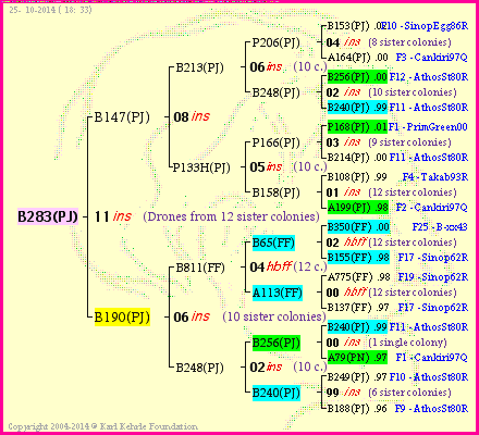 Pedigree of B283(PJ) :
four generations presented