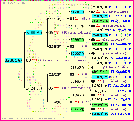 Pedigree of B286(JG) :
four generations presented