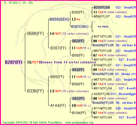 Pedigree of B287(FF) :
four generations presented
it's temporarily unavailable, sorry!