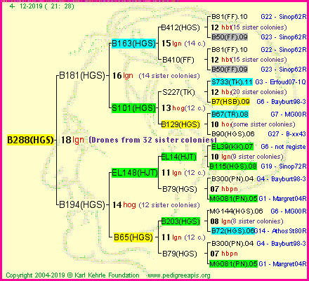 Pedigree of B288(HGS) :
four generations presented<br />it's temporarily unavailable, sorry!