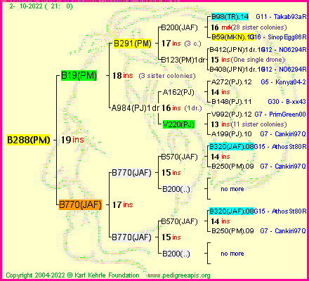 Pedigree of B288(PM) :
four generations presented
it's temporarily unavailable, sorry!