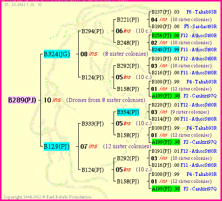 Pedigree of B289(PJ) :
four generations presented