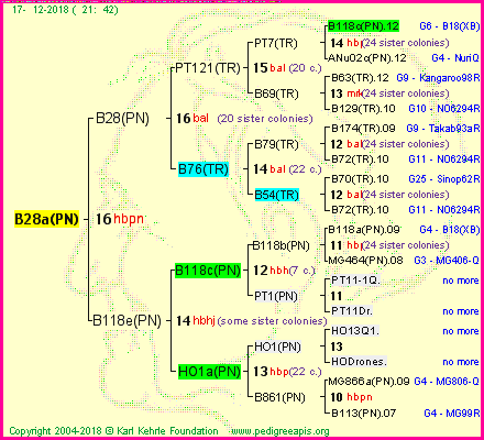 Pedigree of B28a(PN) :
four generations presented<br />it's temporarily unavailable, sorry!