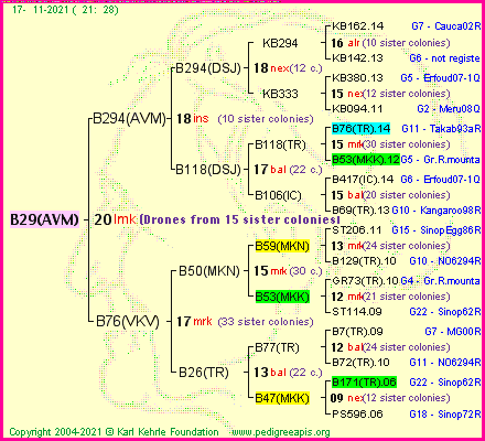 Pedigree of B29(AVM) :
four generations presented
it's temporarily unavailable, sorry!