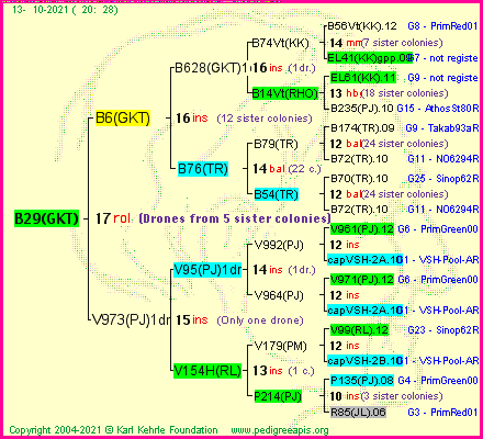 Pedigree of B29(GKT) :
four generations presented
it's temporarily unavailable, sorry!