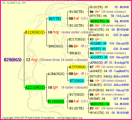 Pedigree of B29(HGS) :
four generations presented
it's temporarily unavailable, sorry!