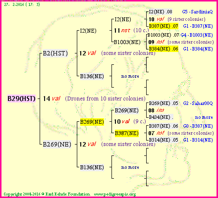 Pedigree of B29(HST) :
four generations presented