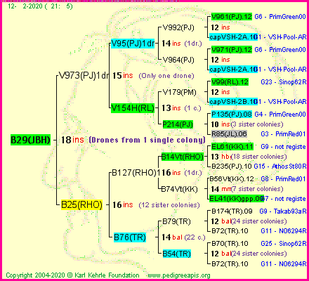 Pedigree of B29(JBH) :
four generations presented
it's temporarily unavailable, sorry!