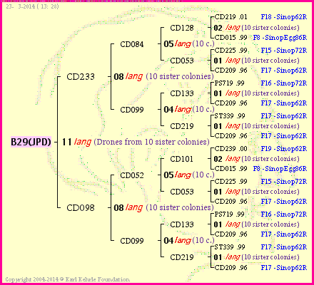 Pedigree of B29(JPD) :
four generations presented